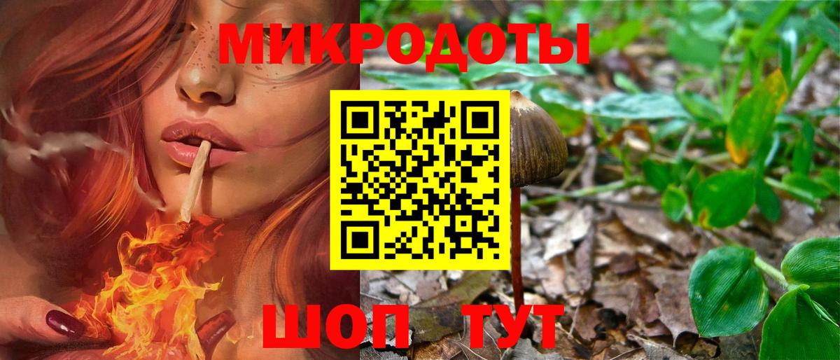 Находка  Псилоцибиновые грибы GOLDEN TEACHER  магазин    Вход с VPN 